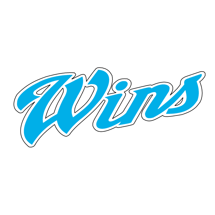 佐野ウィンズソフトボールクラブ