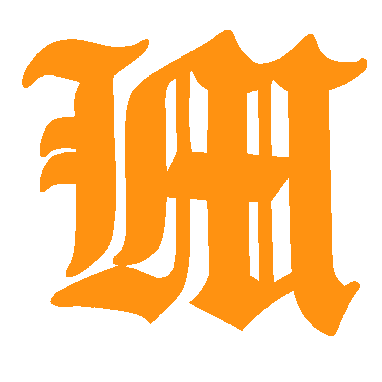 高崎南小ソフトボールクラブ